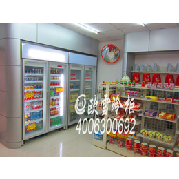 东莞大岭山康润生活超市冷藏柜饮料两门四门冰柜