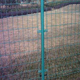 三角折弯护栏网 桃型柱护栏网 小区护栏网 围网