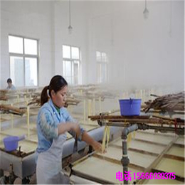 新疆财顺顺腐竹机生产线  自动化程度高豆*机厂家*