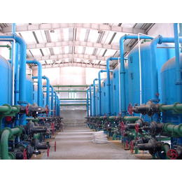 威特雅300吨火力电厂锅炉软水处理设备 软化水系统