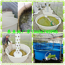 佛山水循环养殖塑料水池养殖盆批发