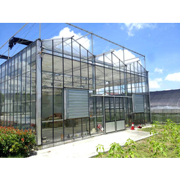 合肥建野温室大棚(图)、玻璃温室厂家、合肥玻璃温室