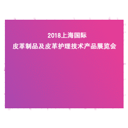 2018上海国际皮具护理展