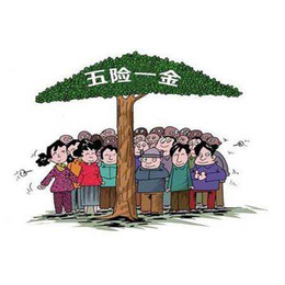 *高可报15万丨深圳*丨深圳社保*