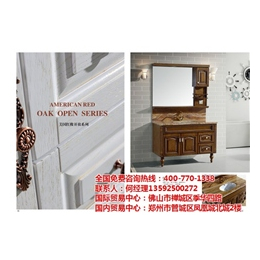 广东浴室柜厂家地址、【华中洁卫浴】(在线咨询)、惠州浴室柜