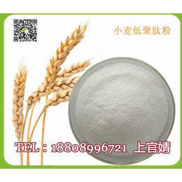 QS认证小麦低聚肽粉代加工OEM厂家