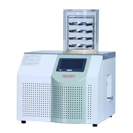 冷冻干燥机CTFD-10S