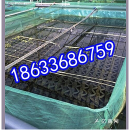 780x500鳝鱼养殖巢穴价格厂家