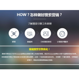 河南网站seo优化,【尚书信息】,濮阳网站seo优化服务