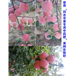苹果果树有机肥公司_拜农生物科技(在线咨询)_平坝有机肥