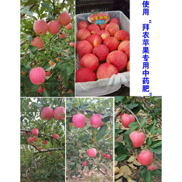 苹果果树有机肥公司_观山湖区有机肥_拜农生物科技(查看)
