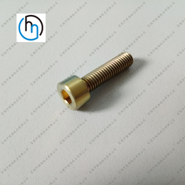 M5钛螺丝圆柱头内六角钛螺栓标准件非标螺丝多种规格厂家批发