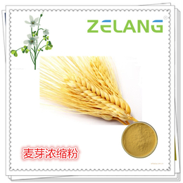 南京泽朗  麦芽提取物  比例提取物  代加工  缩略图