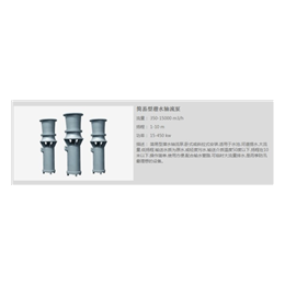 东北简易型潜水轴流泵_德能泵业公司_简易型潜水轴流泵斜式安装