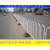 市政道路白色栅栏 深圳公路港式围栏 城市道路京式护栏款式缩略图4