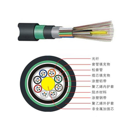 广州汉信-GYFTA53层绞式非金属加强芯铠装光缆