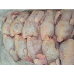 小草鸡、永和禽业保证产品质量、小草鸡选哪家
