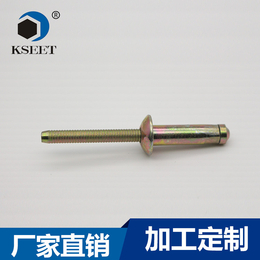 开封凯仕特钣金用SKK3025PT海马不锈钢抽芯铆钉厂家*