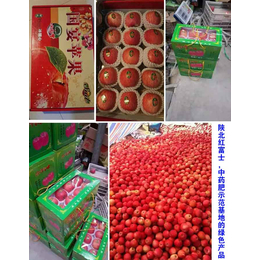 拜农苹果中药有机肥(图)|苹果树有机肥料价格|邯郸有机肥