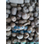 朔州轻质陶粒滤料厂家及产品的优点 缩略图4