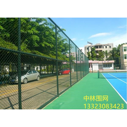 学校足球场墨绿色围网 