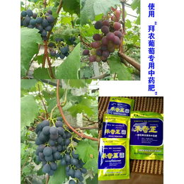有机葡萄有什么叶面肥料、葡萄叶面肥、拜农葡萄*中药叶面肥