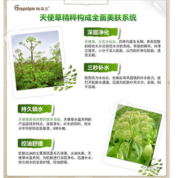 植物纯露OEM加工定制100天然澳洲茶树纯露