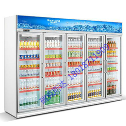 供应惠州东莞功率小制冷快的超市饮料柜
