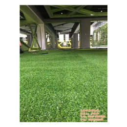无锡市原野地毯(图)|兴化人造草坪|人造草坪