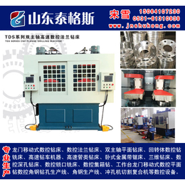 威海数控钻_泰格斯_小型数控钻铣床厂家