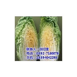 漳州蔬菜配送基地|漳州蔬菜配送|厦门地三鲜
