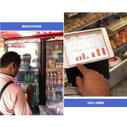 eBest5S移动访销系统-印度可口可乐