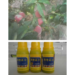 桃子可以用桃树有机肥料吗,桃树有机肥,拜农桃子*中药有机肥