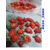 草莓叶面肥_拜农草莓*中药叶面肥_草莓叶面肥的种类缩略图1
