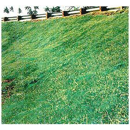 三维网护坡网边坡防护高速路草坪种植*防护网