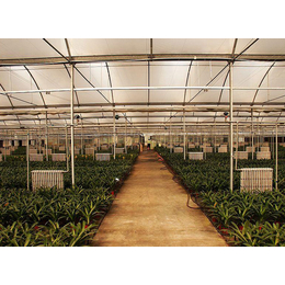 滁州阳光板温室|合肥建野|阳光板温室大棚价格