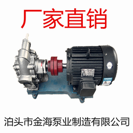 小型齿轮泵 KCB300不锈钢食品泵 卫生齿轮泵