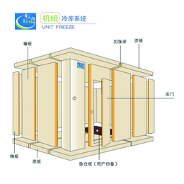 厦门鑫三阳(图)、冰库价格、福州冰库