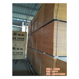 武汉建筑木材批发|建筑木材|福泰木材