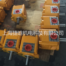 上海航发机械NB2-C25F内啮合齿轮泵