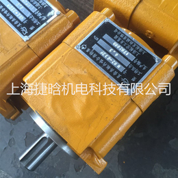 NB2-C32F上海航发直齿共轭内啮合齿轮泵