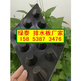 郴州塑料透水排水板车库顶板滤水板15853873476