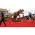 大型恐龙公园商场展览恐龙化石租赁恐龙出售恐龙出售租赁缩略图4