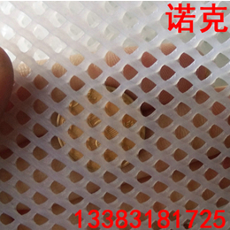 诺克 塑料平网 雏鸡养殖网 养蜂网 小孔塑料网