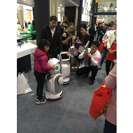 安徽小宝机器人售价,【河南卡伊瓦】(在线咨询),小宝机器人