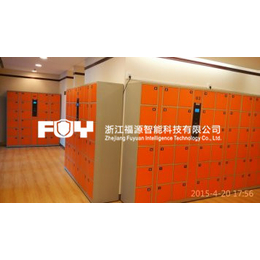 货运中心寄存柜 货运站存包柜及物流公司储物柜的特点-浙江福源
