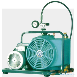 JUNIOR II-W空气呼吸器充气泵 两相电220V交流电缩略图