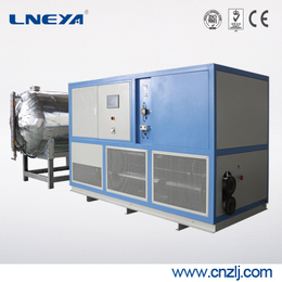 冠亚供应生产使用-超低温冷冻设备LJ-6W化工制药行业