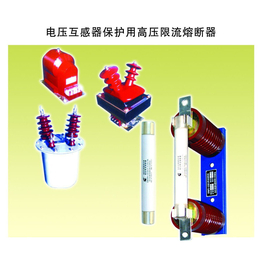 高鼎电器(图),电压互感器保护用高压限流熔断器,电压互感器