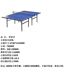 深圳T3526型红双喜乒乓球台